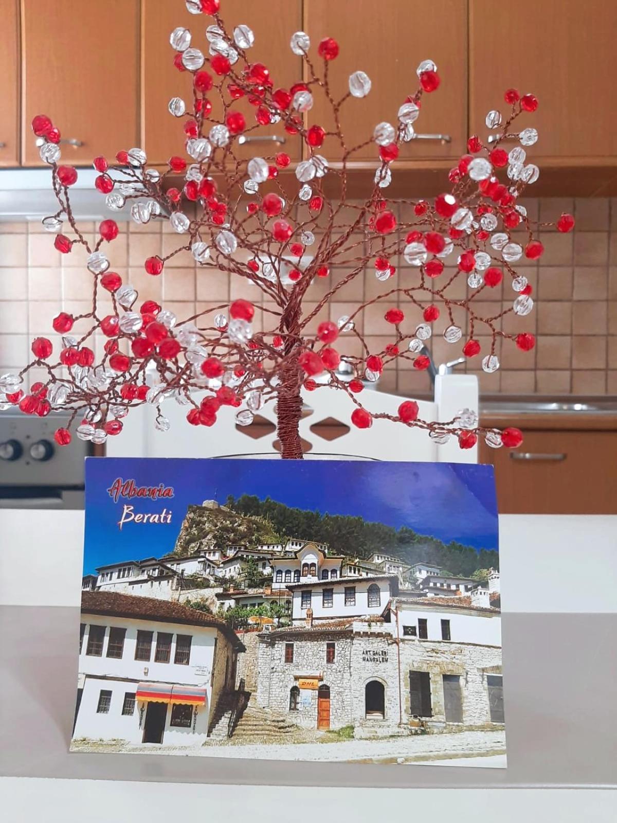Vangert Apartment Berat Ngoại thất bức ảnh